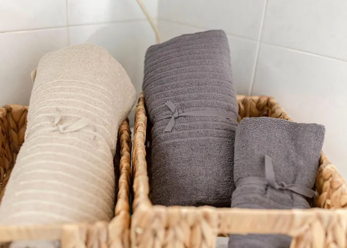 Apartma Historical Caserne